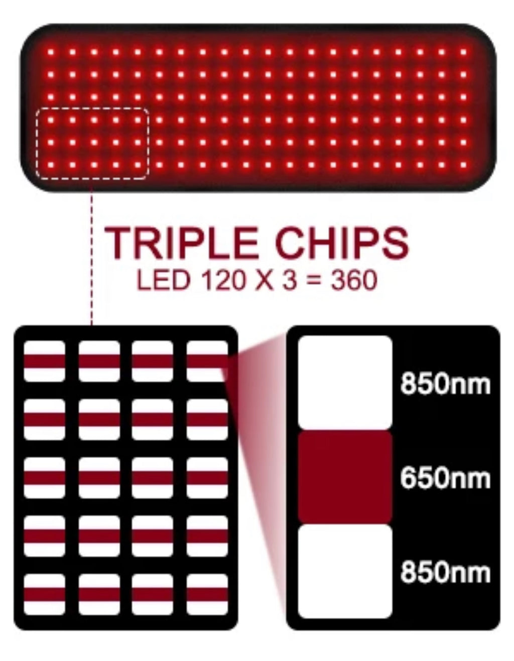 Essential Red Light Therapy Belt