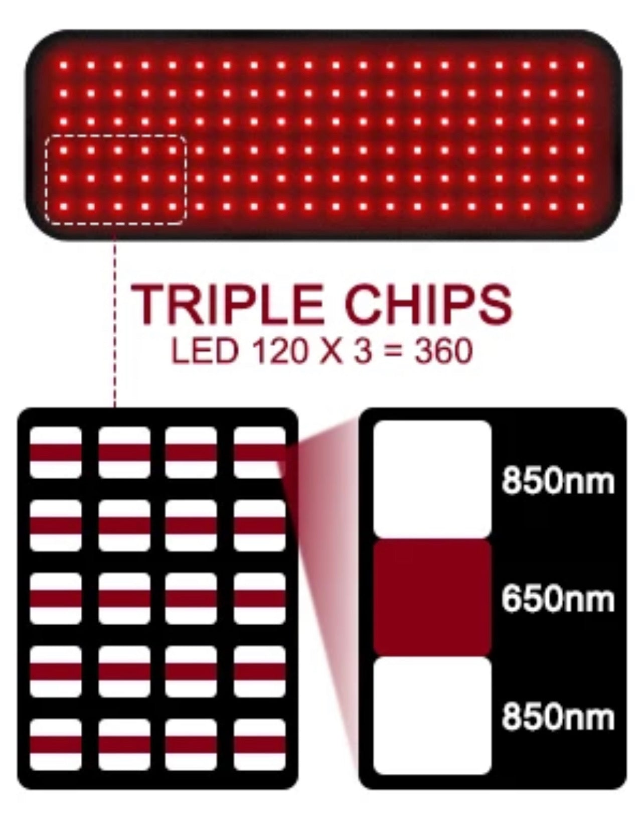 Essential Red Light Therapy Belt